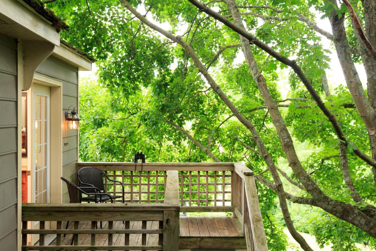 Inn And Cabins At Vaucluse Spring Stephens City Ngoại thất bức ảnh